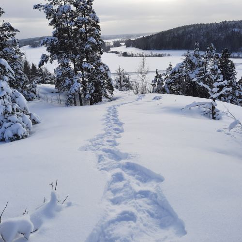 Flaggberget Lumikenkäylyä Siuntio pieni