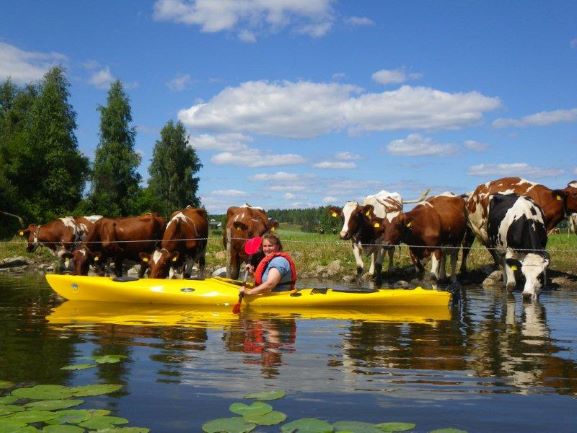 Karis Svartå paddling SE Action pieni